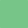 2033-40: Lime Tart  a paint color by Benjamin Moore avaiable at Clement's Paint in Austin, TX.