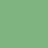 2034-40: Cedar Green  a paint color by Benjamin Moore avaiable at Clement's Paint in Austin, TX.