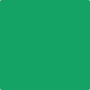 2037-30: Kelly Green  a paint color by Benjamin Moore avaiable at Clement's Paint in Austin, TX.
