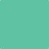 2038-40: Monmouth Green  a paint color by Benjamin Moore avaiable at Clement's Paint in Austin, TX.
