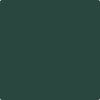 2041-10: Hunter Green  a paint color by Benjamin Moore avaiable at Clement's Paint in Austin, TX.