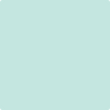2041-60: Soft Mint  a paint color by Benjamin Moore avaiable at Clement's Paint in Austin, TX.