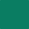 2045-20: Lawn Green  a paint color by Benjamin Moore avaiable at Clement's Paint in Austin, TX.