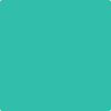 2045-40: Bahama Green  a paint color by Benjamin Moore avaiable at Clement's Paint in Austin, TX.