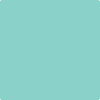 2046-50: Scuba Green  a paint color by Benjamin Moore avaiable at Clement's Paint in Austin, TX.