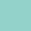 2047-50: Shore House Green  a paint color by Benjamin Moore avaiable at Clement's Paint in Austin, TX.