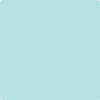 2048-60: Jamaican Aqua  a paint color by Benjamin Moore avaiable at Clement's Paint in Austin, TX.