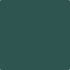 2051-10: Yukon Green  a paint color by Benjamin Moore avaiable at Clement's Paint in Austin, TX.
