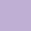 2071-50: Amethyst Cream  a paint color by Benjamin Moore avaiable at Clement's Paint in Austin, TX.