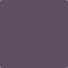 2072-30: Purple Lotus  a paint color by Benjamin Moore avaiable at Clement's Paint in Austin, TX.