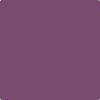 2073-30: Passion Plum  a paint color by Benjamin Moore avaiable at Clement's Paint in Austin, TX.
