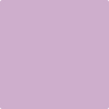 2073-50: Purple Easter Egg  a paint color by Benjamin Moore avaiable at Clement's Paint in Austin, TX.