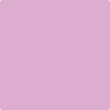 2074-50: Exotic Fuchsia  a paint color by Benjamin Moore avaiable at Clement's Paint in Austin, TX.