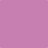 2075-40: Pink Raspberry  a paint color by Benjamin Moore avaiable at Clement's Paint in Austin, TX.