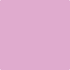 2075-50: Pink Taffy  a paint color by Benjamin Moore avaiable at Clement's Paint in Austin, TX.