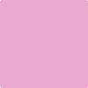 2076-50: Easter Pink  a paint color by Benjamin Moore avaiable at Clement's Paint in Austin, TX.