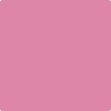 2078-40: Paradise Pink  a paint color by Benjamin Moore avaiable at Clement's Paint in Austin, TX.