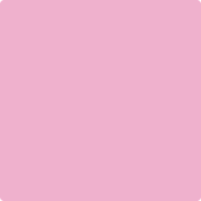 2078-50: Pink Begonia  a paint color by Benjamin Moore avaiable at Clement's Paint in Austin, TX.