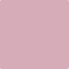 2082-50: Damask Rose  a paint color by Benjamin Moore avaiable at Clement's Paint in Austin, TX.