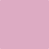 2083-50: Pink Pansy  a paint color by Benjamin Moore avaiable at Clement's Paint in Austin, TX.