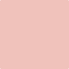 2089-50: Salmon Berry  a paint color by Benjamin Moore avaiable at Clement's Paint in Austin, TX.
