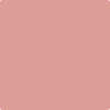 2090-50: Tender Pink  a paint color by Benjamin Moore avaiable at Clement's Paint in Austin, TX.