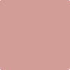 2091-50: Rosy Tan  a paint color by Benjamin Moore avaiable at Clement's Paint in Austin, TX.