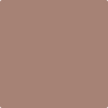 2095-40: Mudslide  a paint color by Benjamin Moore avaiable at Clement's Paint in Austin, TX.