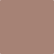 2095-40: Mudslide  a paint color by Benjamin Moore avaiable at Clement's Paint in Austin, TX.