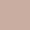 2100-50: Pebble Stone  a paint color by Benjamin Moore avaiable at Clement's Paint in Austin, TX.