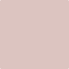 2103-60: Pale Berry  a paint color by Benjamin Moore avaiable at Clement's Paint in Austin, TX.