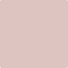 2104-60: Rose Silk  a paint color by Benjamin Moore avaiable at Clement's Paint in Austin, TX.