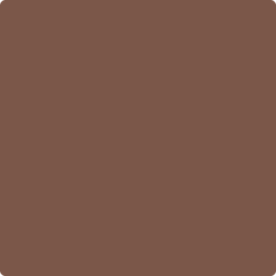 2105-30: Rabbit Brown  a paint color by Benjamin Moore avaiable at Clement's Paint in Austin, TX.
