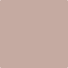 2105-50: Sand Pebble  a paint color by Benjamin Moore avaiable at Clement's Paint in Austin, TX.