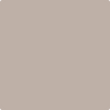 2107-50: Sandlot Gray  a paint color by Benjamin Moore avaiable at Clement's Paint in Austin, TX.