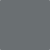 2124-20: Trout Gray  a paint color by Benjamin Moore avaiable at Clement's Paint in Austin, TX.
