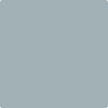 2131-50: Nimbus Gray  a paint color by Benjamin Moore avaiable at Clement's Paint in Austin, TX.
