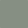 2138-40: Carolina Gull  a paint color by Benjamin Moore avaiable at Clement's Paint in Austin, TX.
