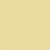 214-Valley: View  a paint color by Benjamin Moore avaiable at Clement's Paint in Austin, TX.