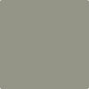 2140-40: Storm Cloud Gray  a paint color by Benjamin Moore avaiable at Clement's Paint in Austin, TX.