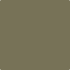 2142-30: Mountain Moss  a paint color by Benjamin Moore avaiable at Clement's Paint in Austin, TX.