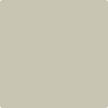 2142-50: Gray Mirage  a paint color by Benjamin Moore avaiable at Clement's Paint in Austin, TX.