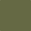2144-10: Guacamole  a paint color by Benjamin Moore avaiable at Clement's Paint in Austin, TX.