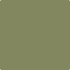 2144-20: Eucalyptus Leaf  a paint color by Benjamin Moore avaiable at Clement's Paint in Austin, TX.
