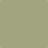 2144-30: Rosemary Sprig  a paint color by Benjamin Moore avaiable at Clement's Paint in Austin, TX.