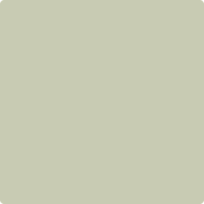 2144-40: Soft Fern  a paint color by Benjamin Moore avaiable at Clement's Paint in Austin, TX.