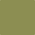 2145-20: Terrapin Green  a paint color by Benjamin Moore avaiable at Clement's Paint in Austin, TX.