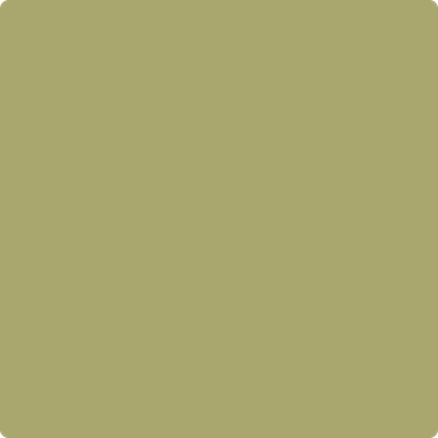2145-30: Brookside Moss  a paint color by Benjamin Moore avaiable at Clement's Paint in Austin, TX.