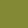 2146-10: Dark Celery  a paint color by Benjamin Moore avaiable at Clement's Paint in Austin, TX.