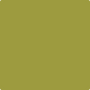 2146-20: Forest Moss  a paint color by Benjamin Moore avaiable at Clement's Paint in Austin, TX.